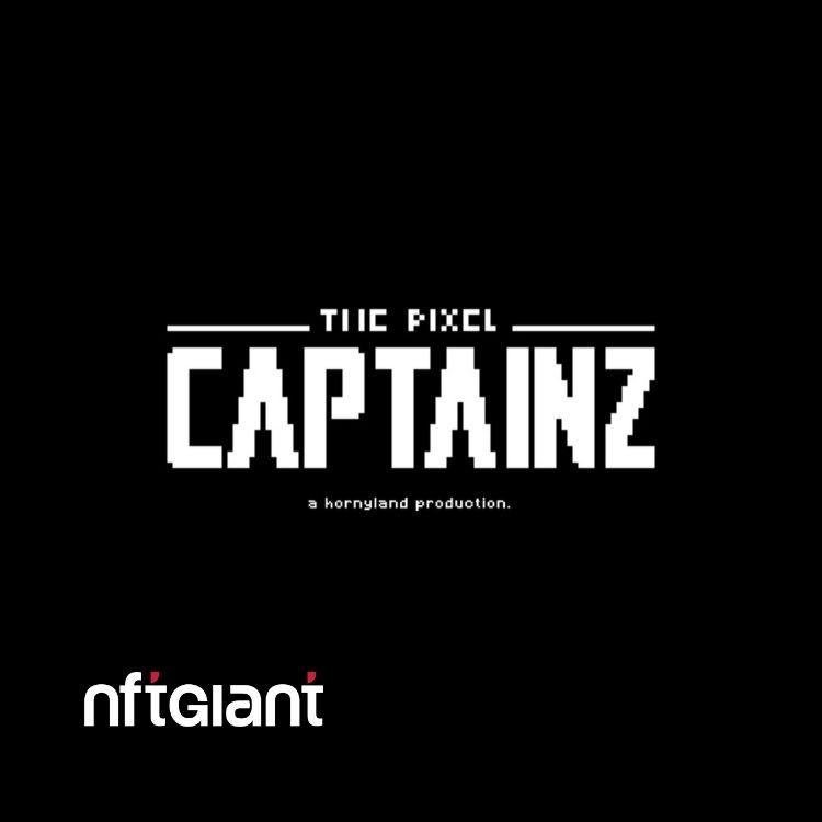The Pixel Captainz